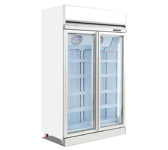 chiller single door
