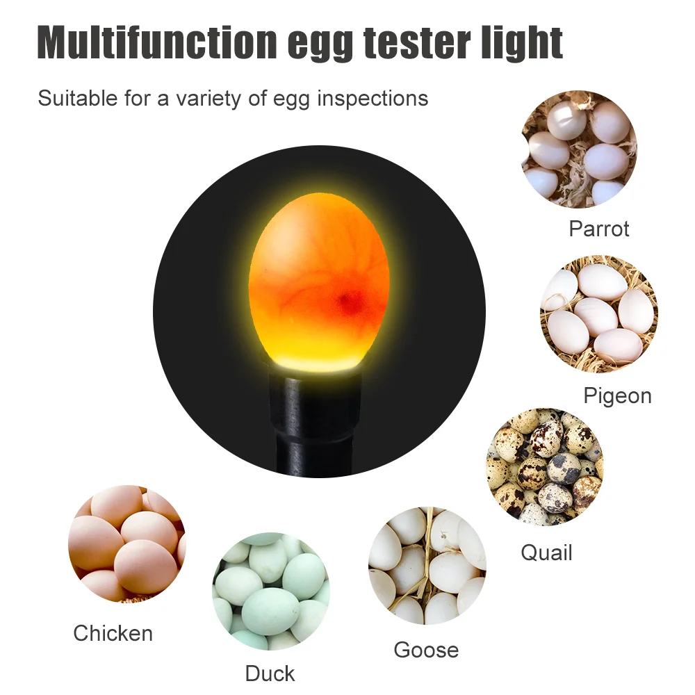   LED к  ť ,  ߿    к ׽, ũ ߶  ī ѱ  1 
