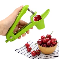 HILIFE-Extracteur de fruits en plastique, accessoires de cuisine, gadgets, outils Olives Go, dispositif nucléaire 2