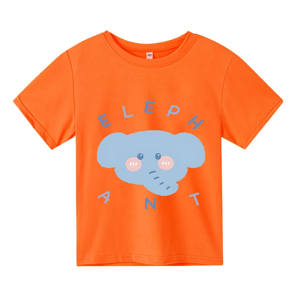 Рисунок 5 - Летняя хлопковая футболка с коротким