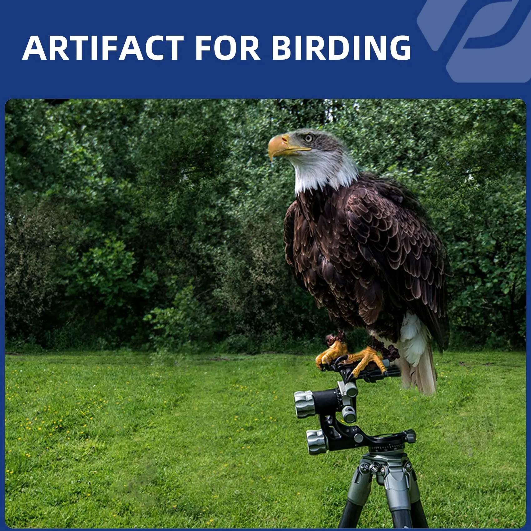 Fotopro E-6H E-9H Gimbal Head Aluminum Tripod Head for Wildlife Photography Astrophotography