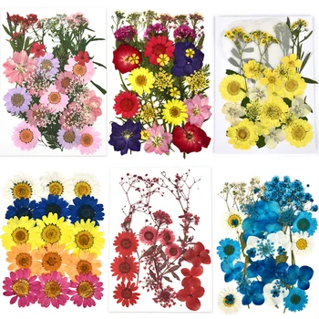 1 Bag Natural Dried Flowers DIY Pressed Flowers Stickers For Resin Epoxy UV Glue Making Crafts Material Nail Art Scrapbook Decor