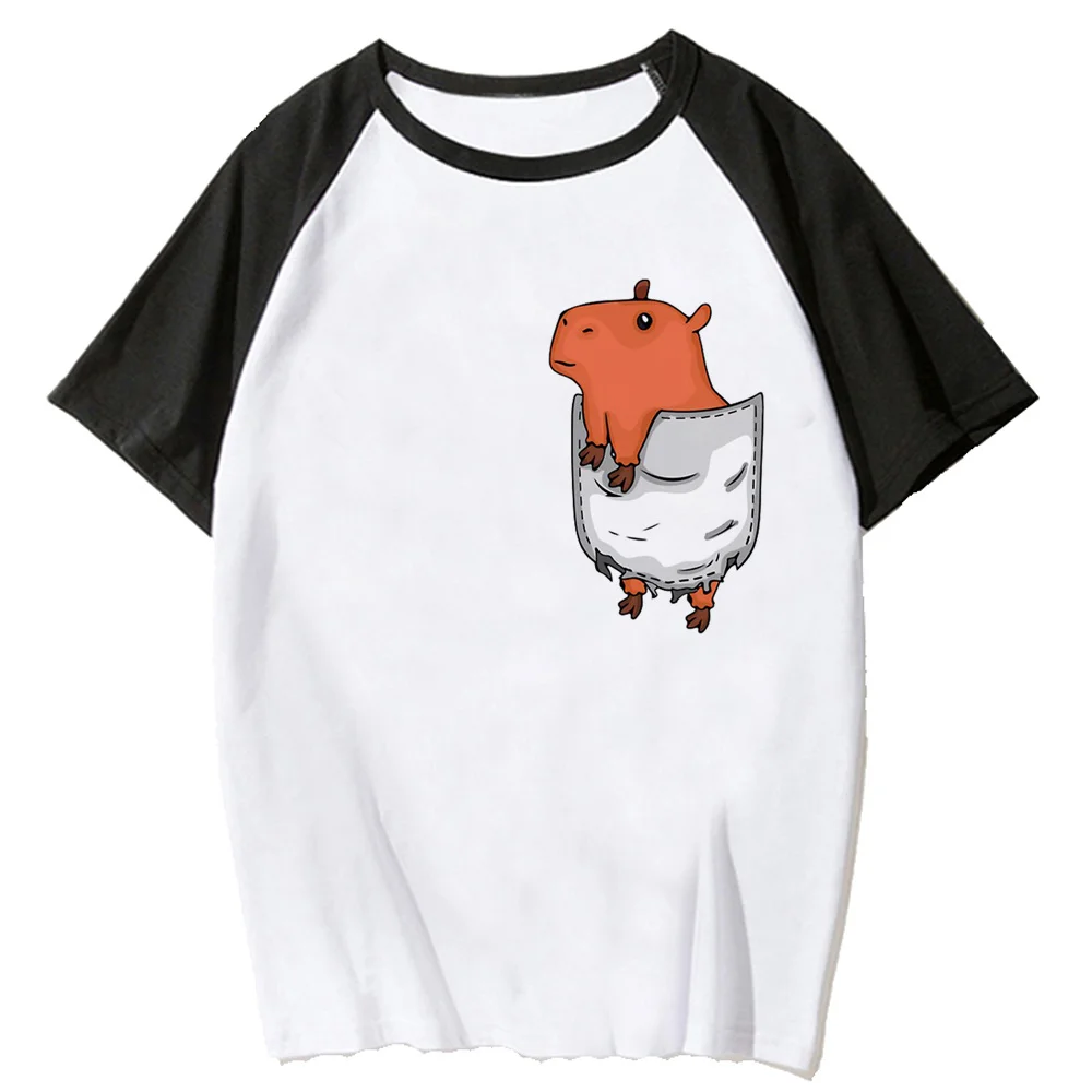 

Capybara t-shirts women graphic Tee female comic designer clothing