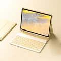 B Yellow no mouse