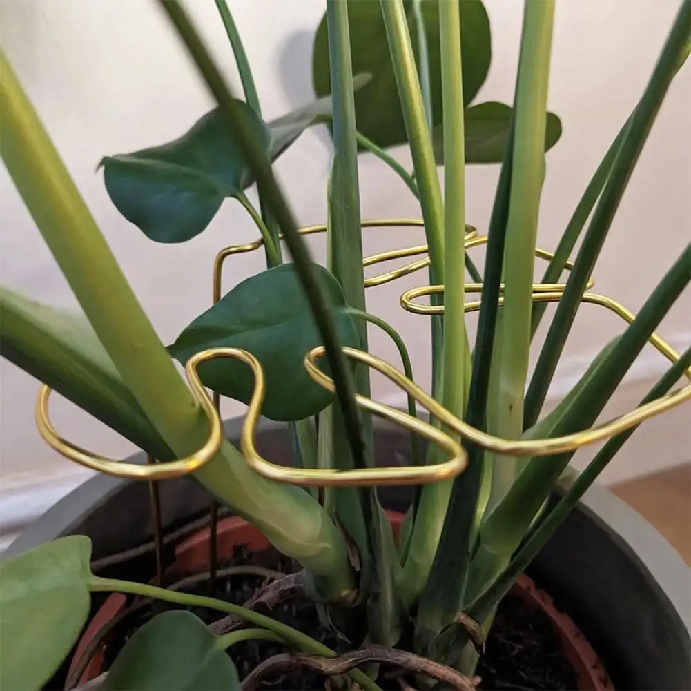 Plant Stand Rustproof Corrosion Resistant Simple Installation Monstera Shaped Plant Support Stake Flower Shaped Support Pile