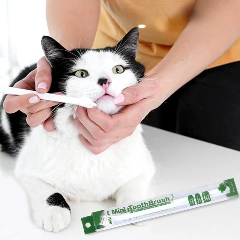 

Dog and Cat cleaning supplies Dog toothbrush Tooth cleaning bad breath care Non-toxic toothbrush tools Pet accessories