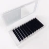 Wholesale Custom 10/20/30pcs Easy Fan Lashes Volume Extensions With Your Own Logo 6