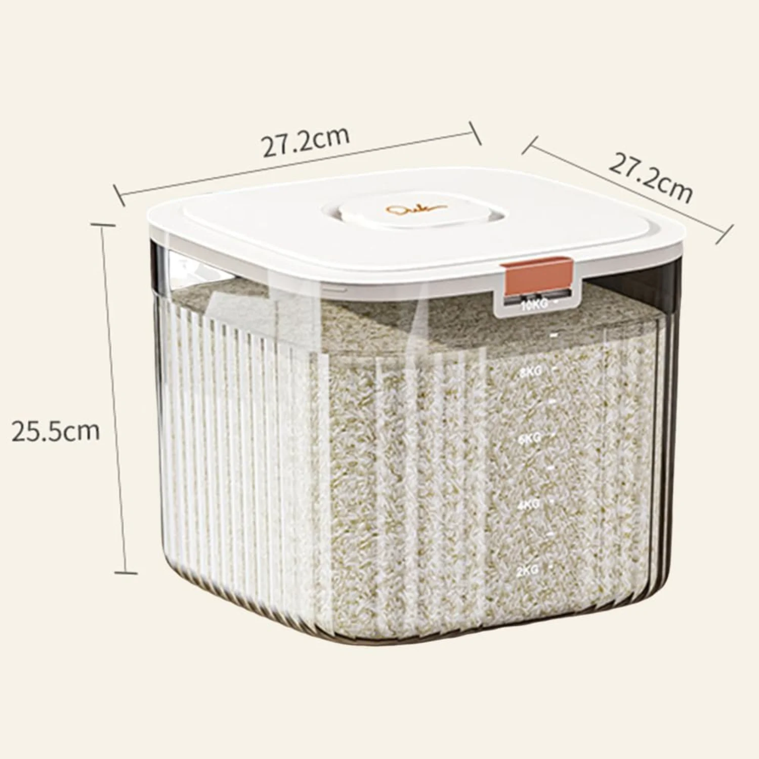 Transparent Grain Food Bucket Household Large Capacity Cube Shape Rice Bucket Double Silicone Sealing Leakproof Rice Organizer