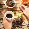 Succulent Plants Tools Mini Garden Hand Tools Transplanting Outdoor Bonsai Gardening Tools Set Succulent Miniature Planting Tool 4