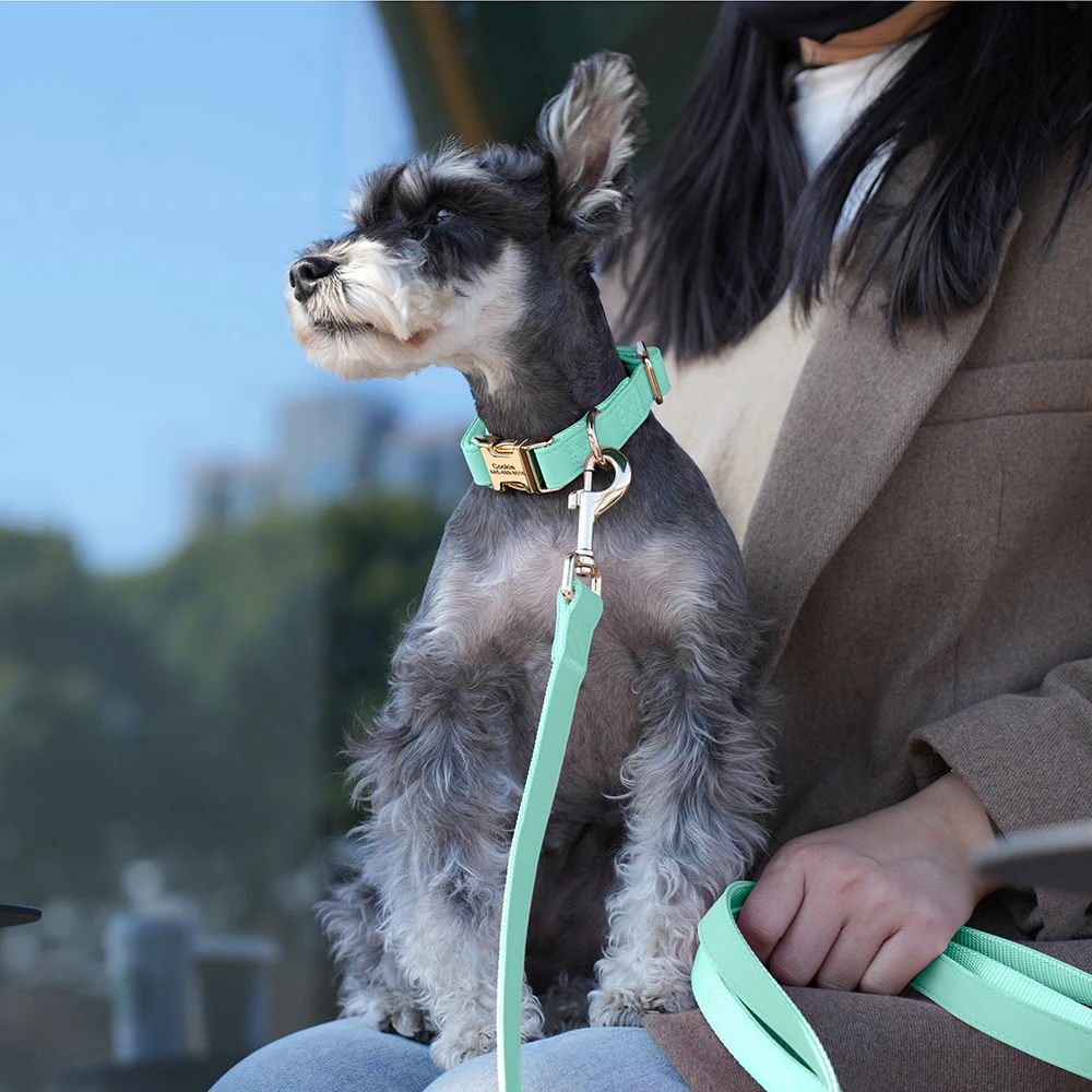 Personalisiertes Hundehalsband aus PU-Leder, kostenlose gravierte Haustierhalsbänder, individuelle ID-Namenskette für kleine, mittelgroße und große Hunde, 9 Farben – Detail 14