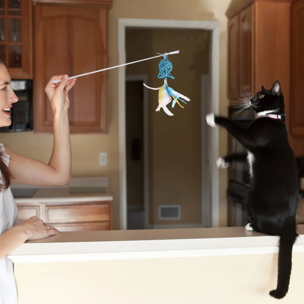 Кот с дефектом. Ржачные котики. Неглаженный кот мем. Прикольные кошечки. Будущее покажет кот.