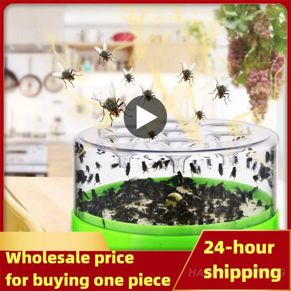Mosche Multiuso Killer Fly Trap Indoor Flycatcher Cucina Domestica Disinfestazione Controllo Repeller Catcher Killer Fly Trap