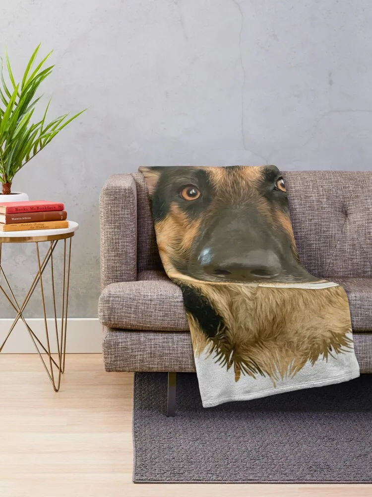 ��������� ������ ��ƼĿ, �� ������ ���, ��Ƽ�� ���, ���� ���, �ö��� ���� ���� ���