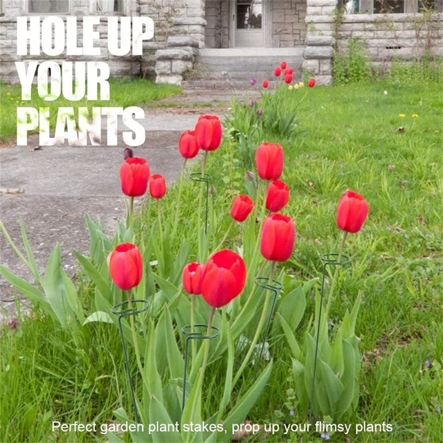 5 Darab Hegymászás Cserepes Növényi Tartó Botok Beltéri Szabadtéri Rácsos Napraforgó Zöldségek Szár Edző Útmutató Állványok Háztartás - Image 3