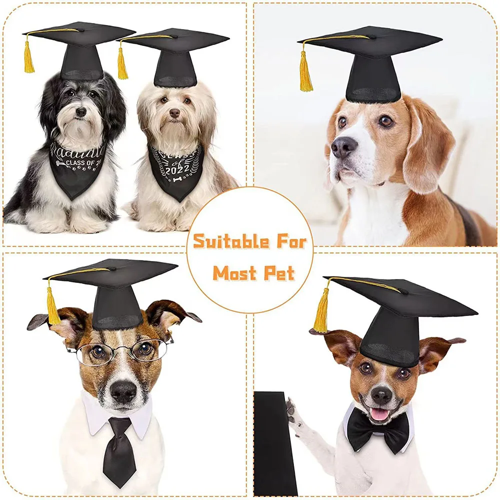 Graduation Dog Hat Cap Pet Cat Party Hats Mini Caps Puppy For Dr Small  Bachelor Costumes Outfit Dogs Costume Doctoral Doctor - Habitat Décor -  AliExpress