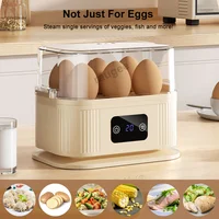 Chaudière à œufs électrique, Mini cuiseur à œufs avec minuterie, arrêt automatique, cuiseur à vapeur pour petit déjeuner, Machine à œufs bouillies pour 6 œufs 6
