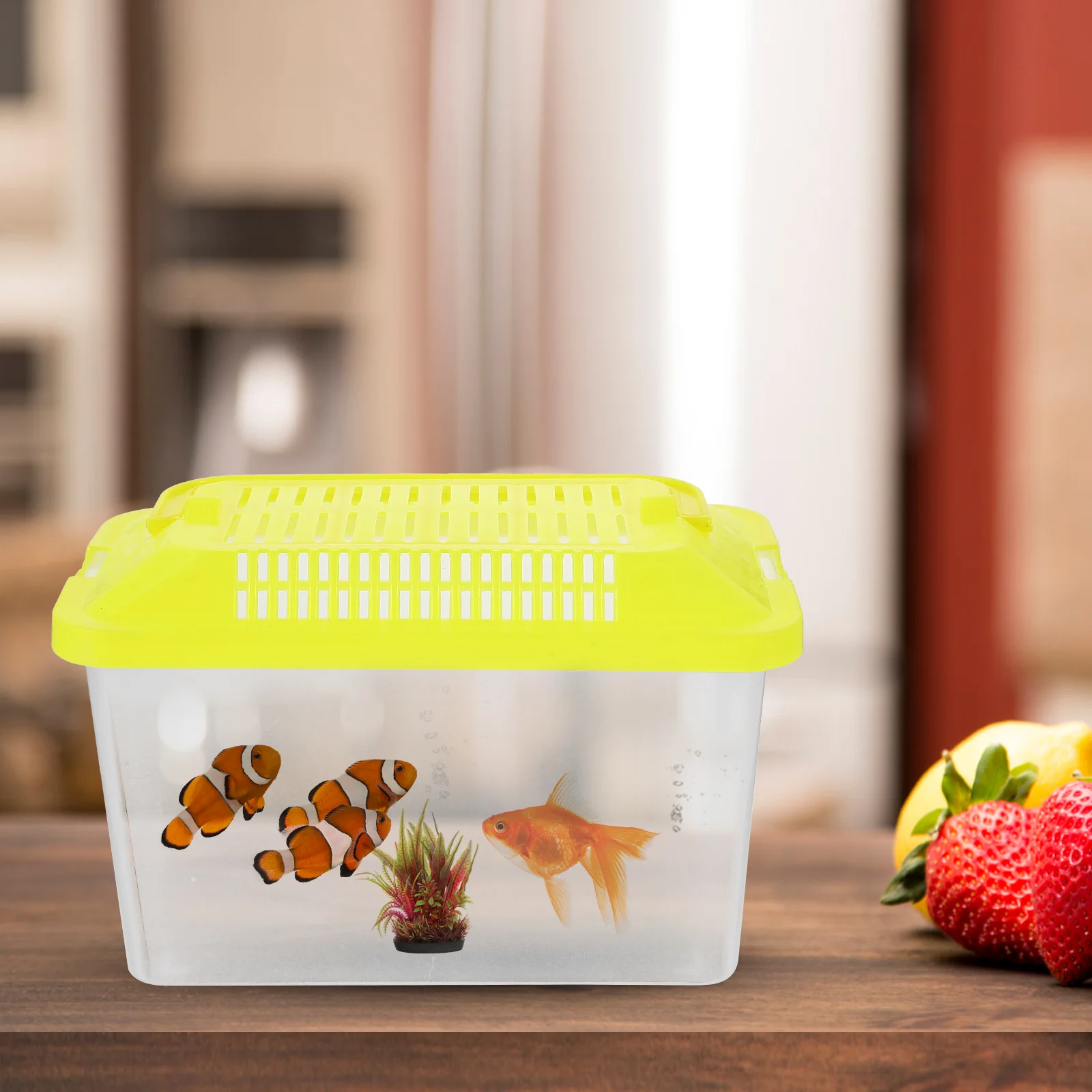 Plastic Turtle Fish Tank Aquarium Gecko Tanks Animals Hat Puppy Accessories Spider Terrarium Portable