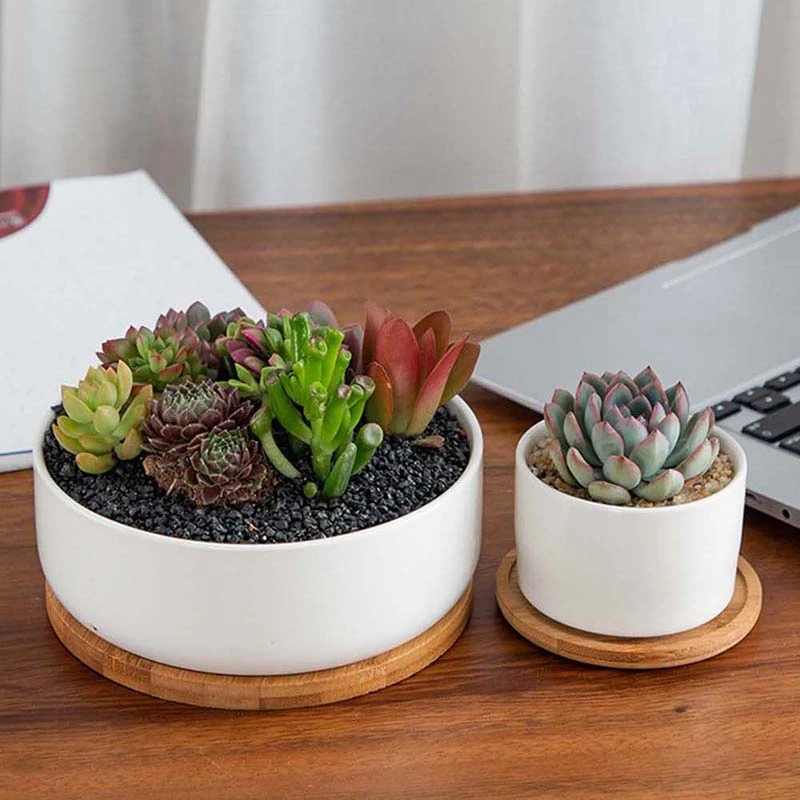 Flower Pot Tray 10 Style Bamboo Decorative Tray Wood Flower Pot Tray Creative Gardening Supply Simple Design Holder Home Decor 5