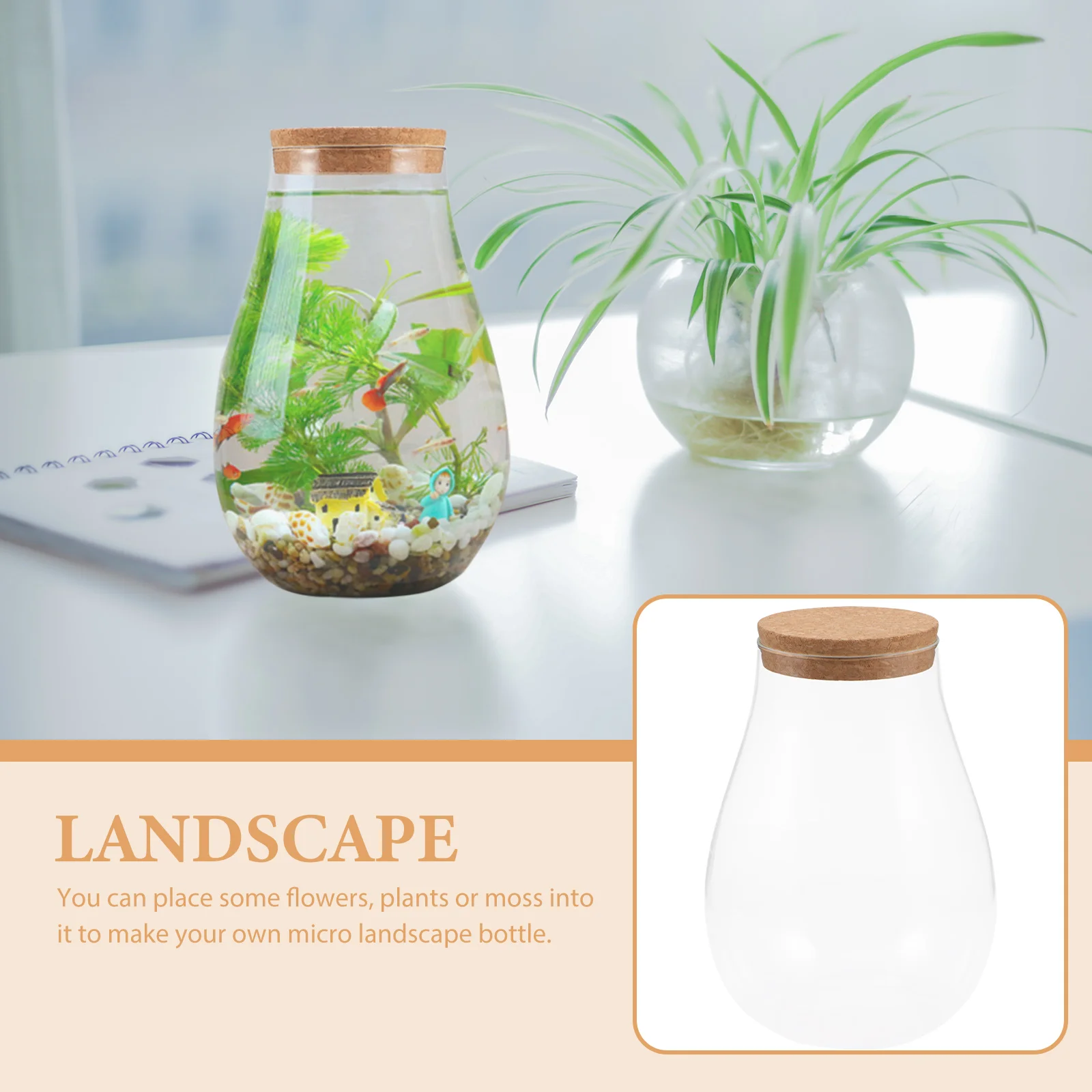 Micro Landscape Ecological Bottle Terrarium Plants Glass Containers Decor Hydroponic Propagation Station DIY Betta 6