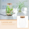 Micro Landscape Ecological Bottle Terrarium Plants Glass Containers Decor Hydroponic Propagation Station DIY Betta 6