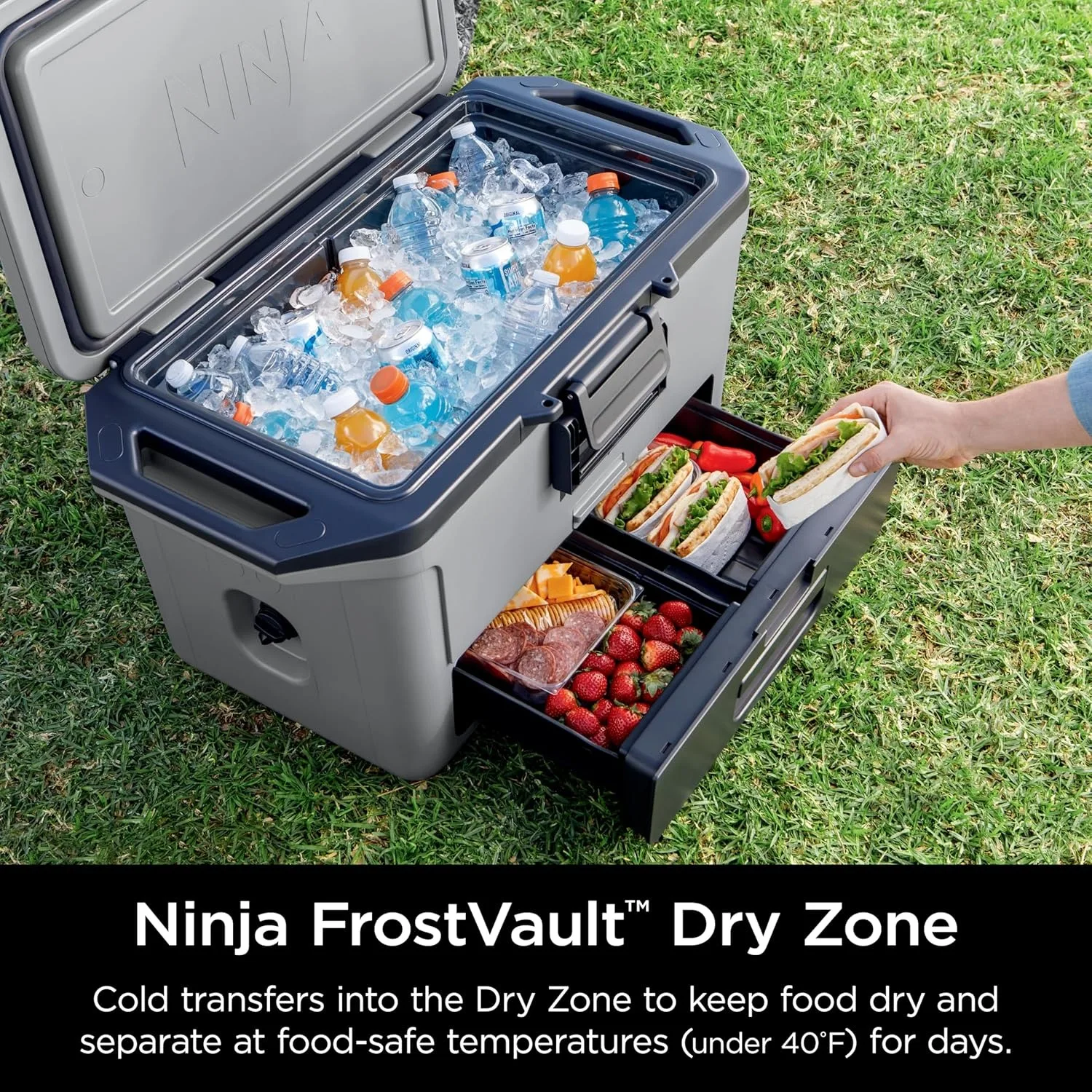 Ninja FB151GY FrostVault 50qt Hard Cooler with Dry Zone, Integrated Fridge-Temp Dry Storage Drawer Slate Gray