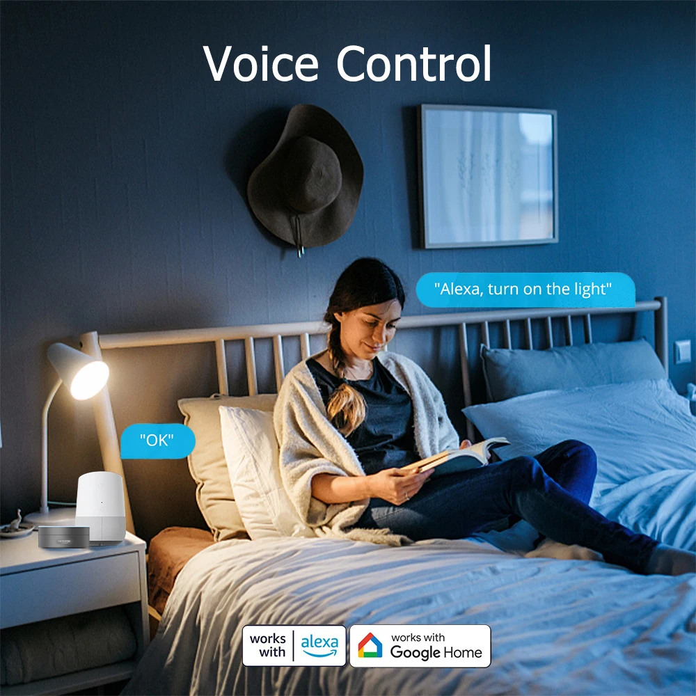EWelink Smart Plug WiFi Socket EU 20A With Power Monitoring Timing Function Works With Alexa/Google Home/Alice/SmartThimg