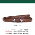 Silver buckle brown