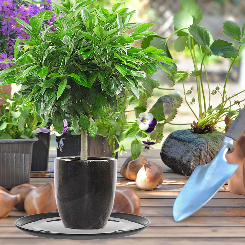 

3 Pcs Plastic Planter Tray Water for Indoor Plants Flowerpot Pots Round Saucers Pp Plate Potted