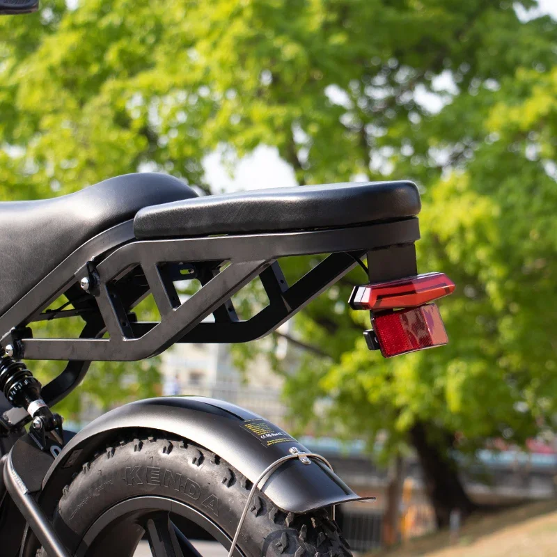 Electric Bike V20PRO1000W48V15AH for Off-Road Riding