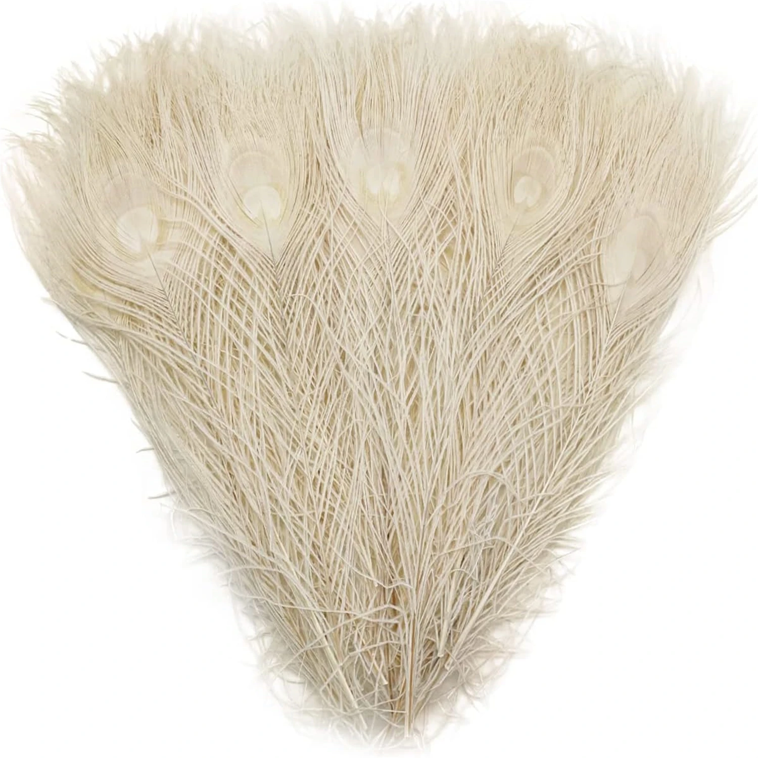 

Wholesale high quality 10pcs Rare beige peacock feather 25-30cm/10-12inch Wedding Costume Holiday decorative Floral Arrangements