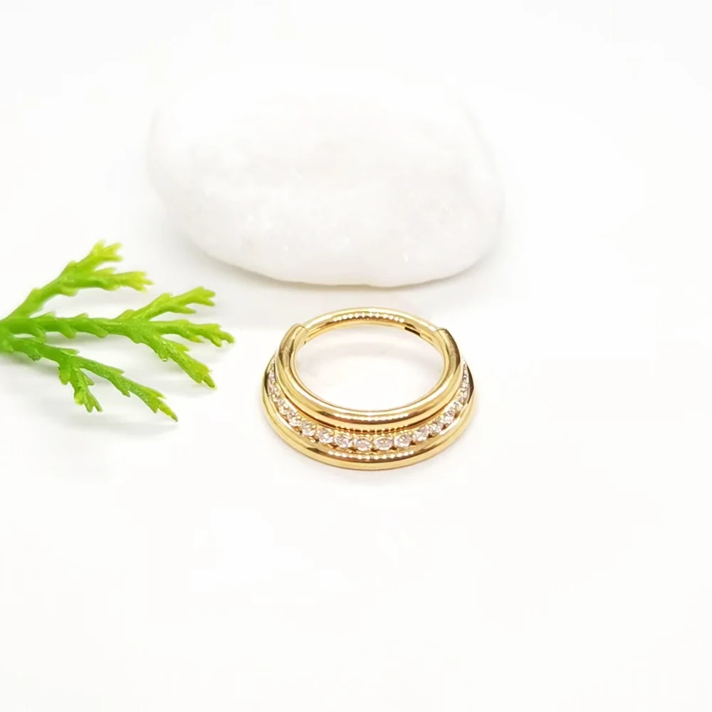 Nose Piercing Septum Nose Rings Zircon Hight Segment Clicker Hoop Ear Cartilage Tragus Piercing Earrings G23 Titanium Jewelry