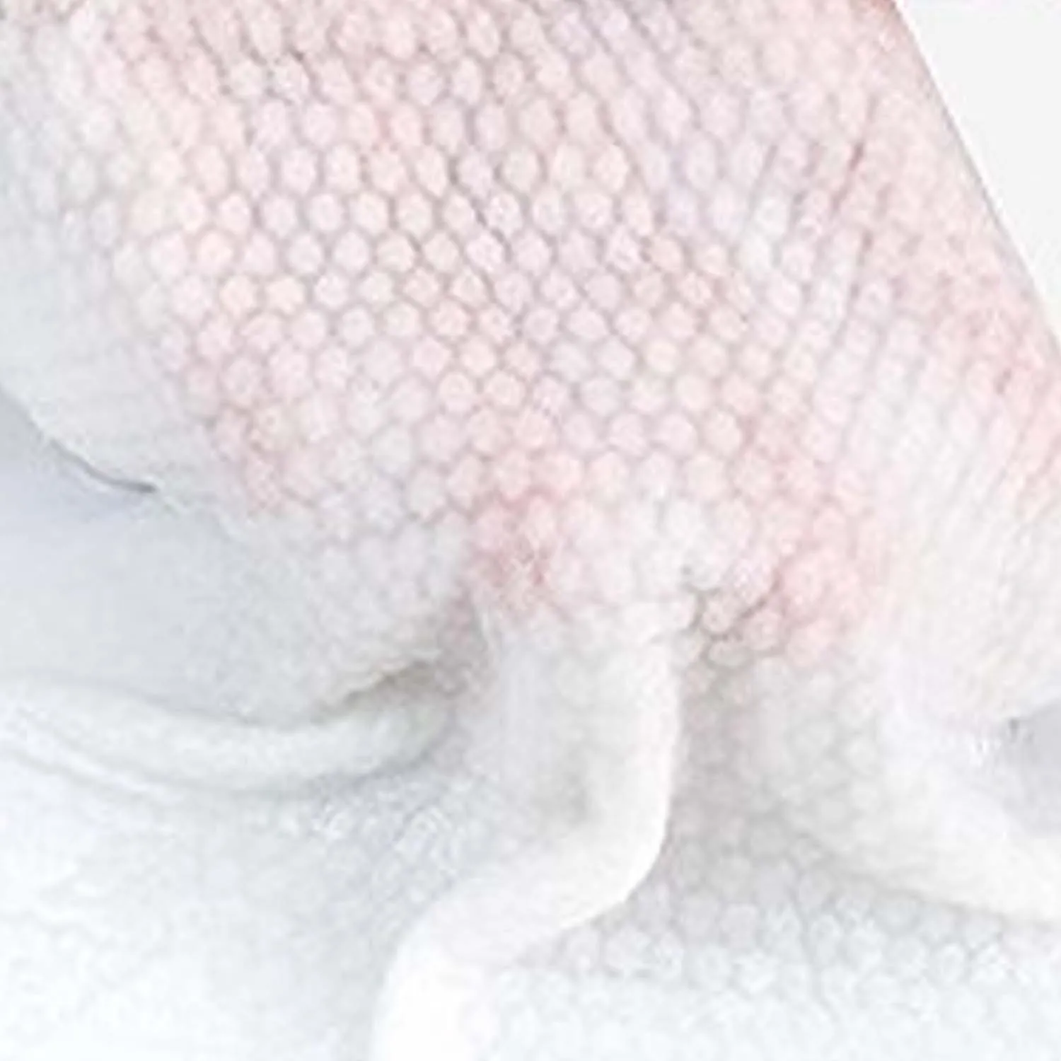 Soft White Disposable Face Towels for Makeup Remover and Facial Cleansing