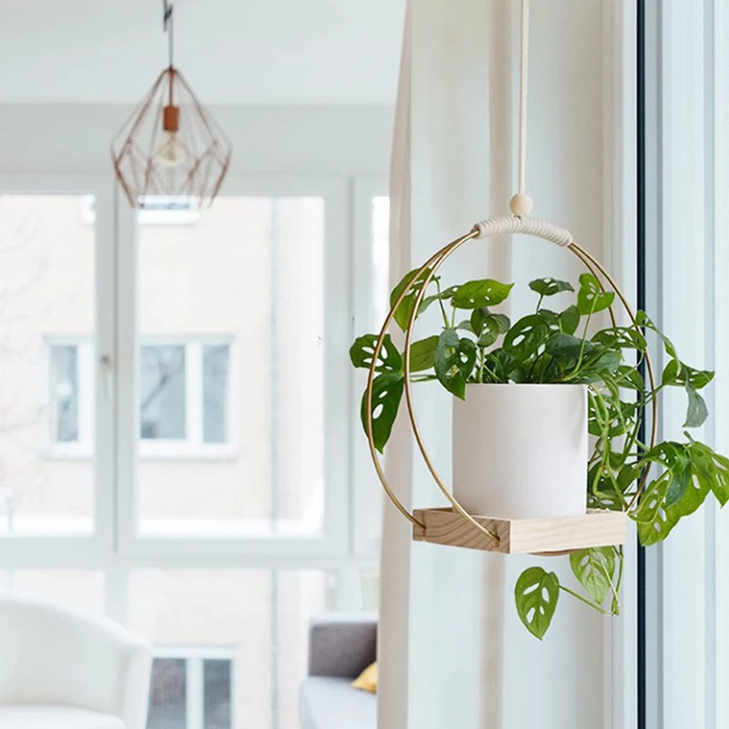 

Simple Style Plants Hanging Flower Pot Plant Pot Holder Good Load-bearing High Strength Smooth Edge
