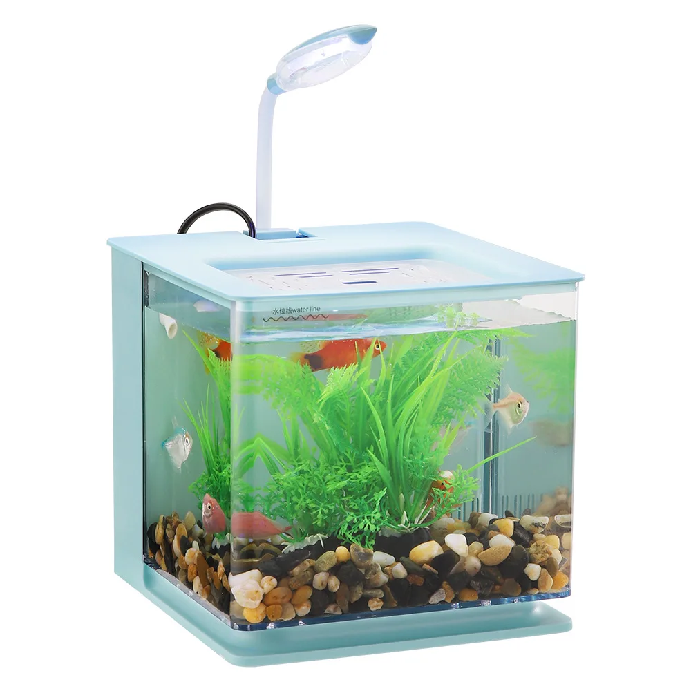 

Aquarium Glass Fish Tank On Desktop Open Fish Tank With LED Lighting
