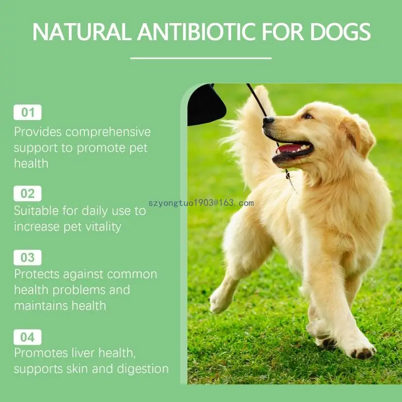 Dog Health Care Immunity Increase Bad Appetite Enhancement Drop Pet Supply