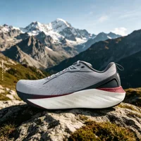 Chaussures de sport unisexes avec plaque en carbone, baskets de course et de marche, amortissantes, pour marathon, course à pied, entraînement, pour hommes et femmes 2