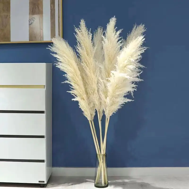 

5Pcs Pampas Grass Dried Pompous Grass Pompass Branches for Vase Flower Arrangement Wedding Kitchen Home Decor Whit Dried Flowers