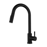 Black Kitchen Faucet Two Function 6