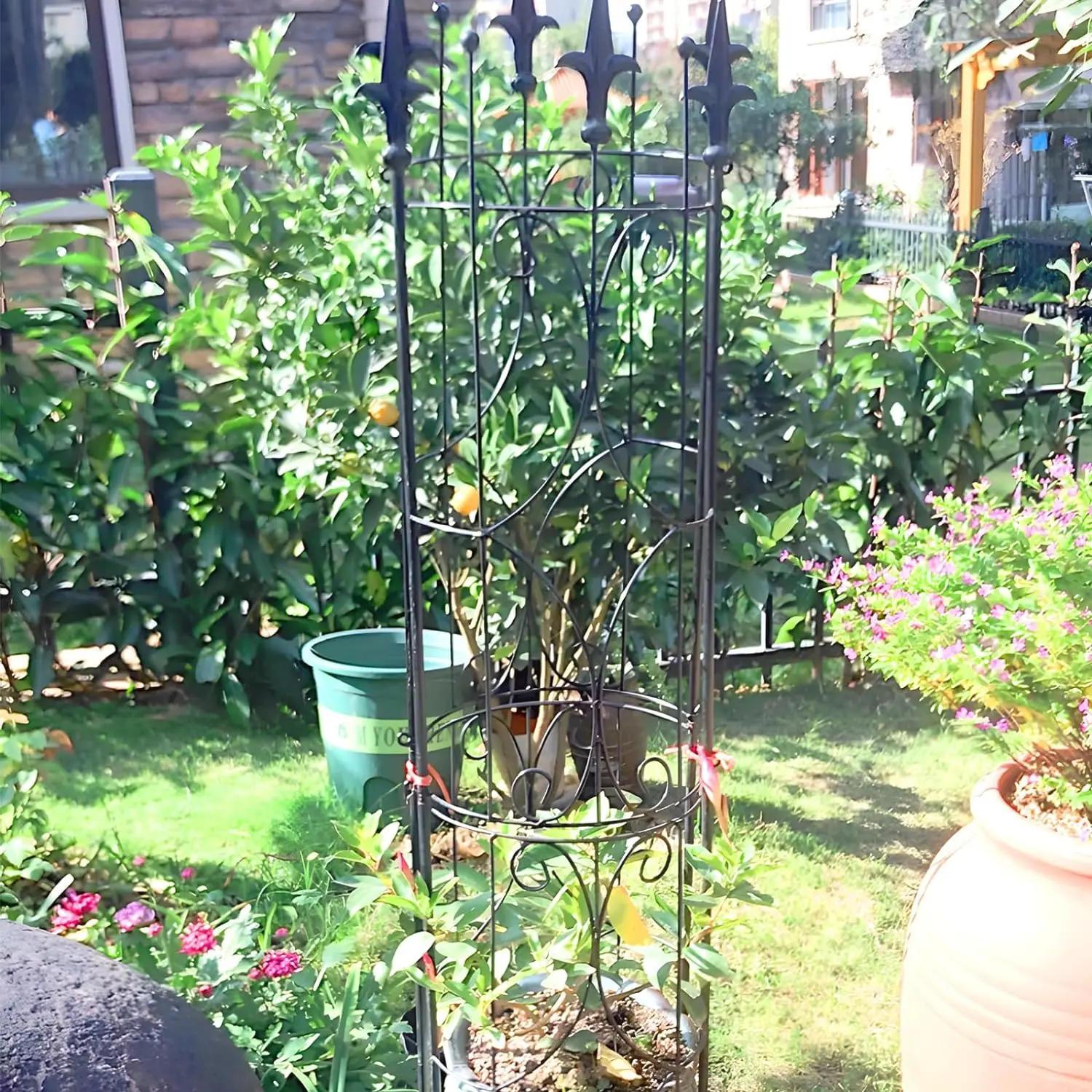 Garden Trellis 2 Pack 72'' H x 12'' W Metal Plant Trellis Indoor/Outdoor Metal Garden Plant for Potted Plants