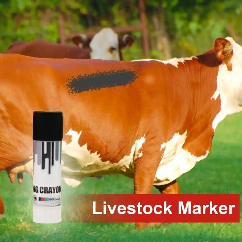 Livestock Marking Crayon 5
