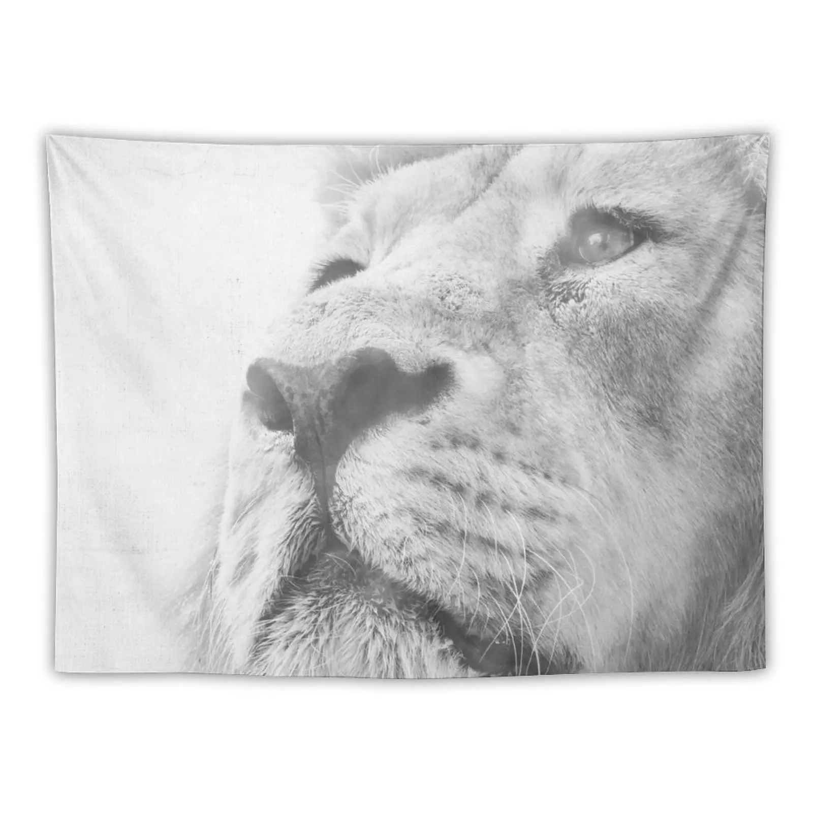 

lion Tapestry Aesthetic Room Decor Korean Tapestries Room Decorations Aesthetics