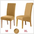 S2-Camel