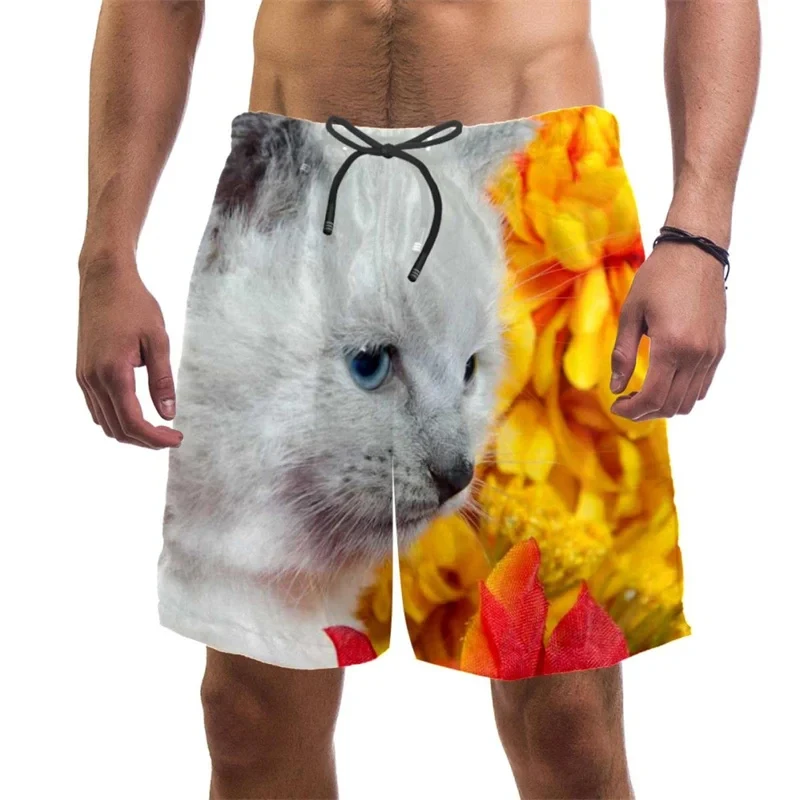 3d Print Funny Cat Beach Shorts For Men Quick Dry Swim Trunks Summer Drawstring Cool Vacation Surf Board Shorts Men Clothing 5