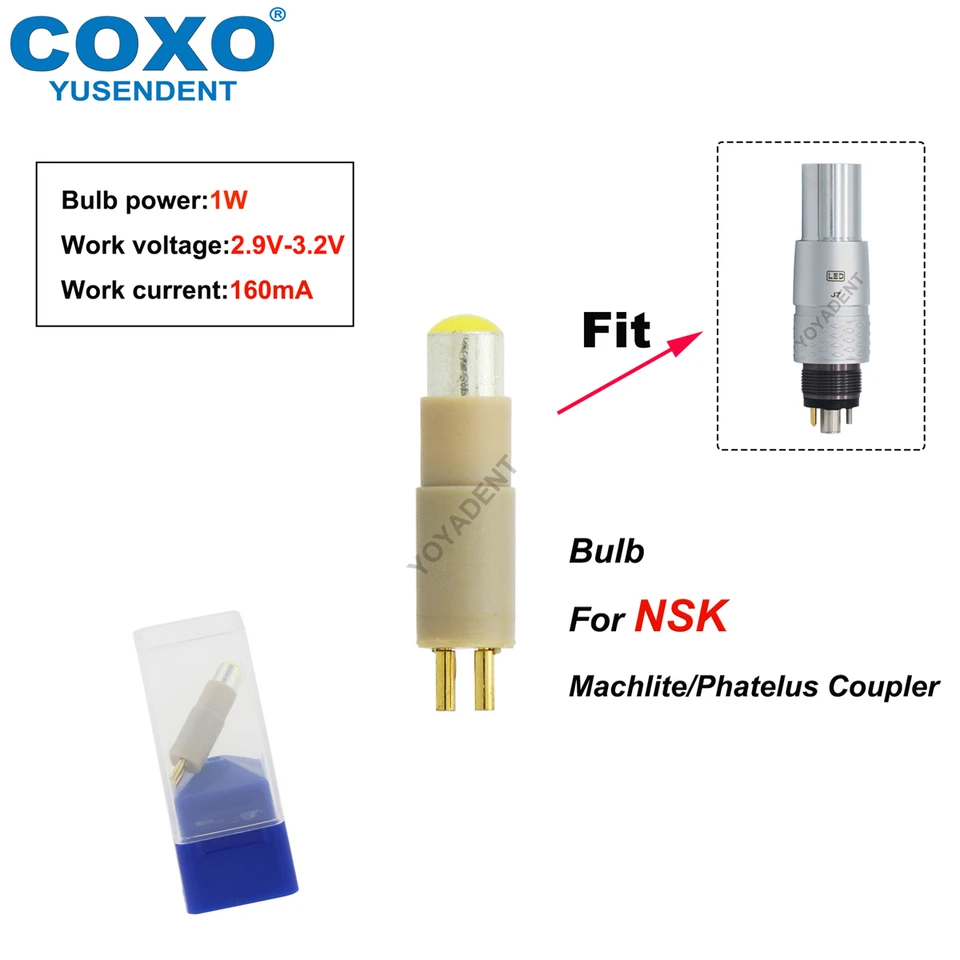 Turbine Dentaire Haute Vitesse BEING - Compatible Raccord 4 Trous NSK Phatelus Machlite - Neuf