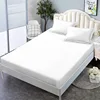 1pc Simple Solid Color Fitted Sheet Nordic Mattress Cover Plush bed sheet Winter Warm Elastic Soft Bed Sheet With Elastic Band 6