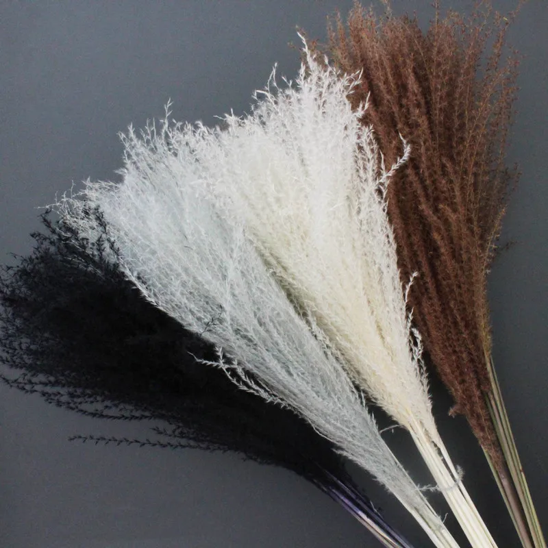 

10Pcs Per Bunch Black Reed Grass Dried Flowers High Quality Natural Bouquet Shooting Props Natural Dry Flore For Home Decoration