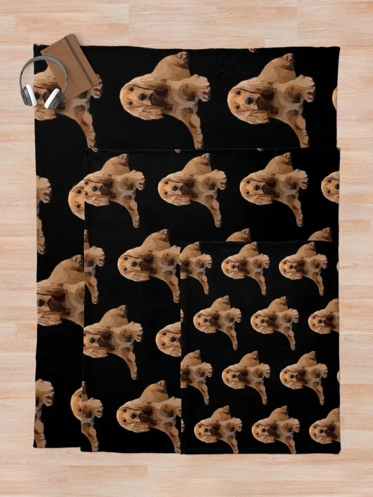 ��Ŀ ���дϾ� ���ο� ���, �ε巯�� �÷��� ���� ���� ���� ���, ���� ũ�������� ����