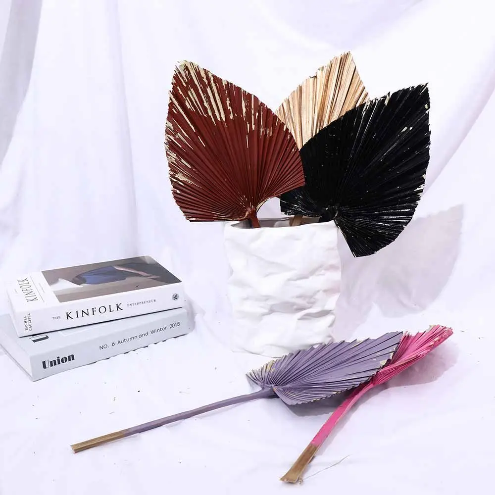 Description Picture 2 of item1 Pcs Bohemian Tropical Fan Leaf Colorful Palm Spears Dried Plant DIY Natural Trimmed Party Decoration Leaves