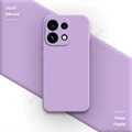 Grass Purple
