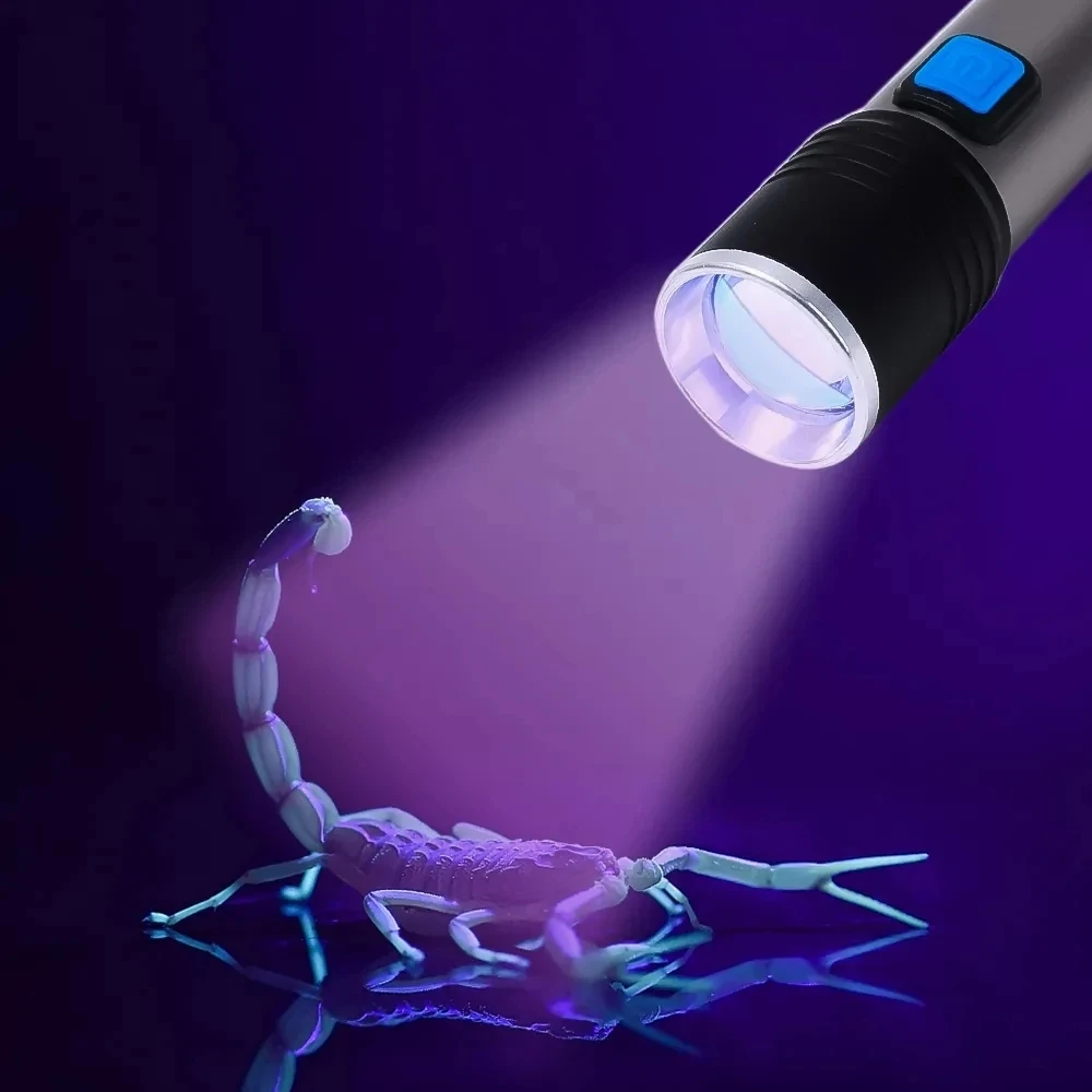 Slide image c0862dfffb1941bca9f9eac200713f26